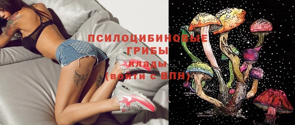 spice Белокуриха