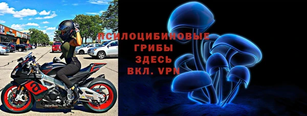 spice Белокуриха