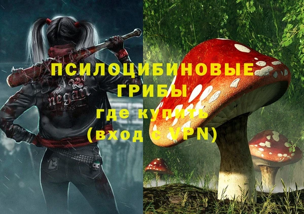 spice Белокуриха